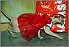 Modestly dressed Sphynx